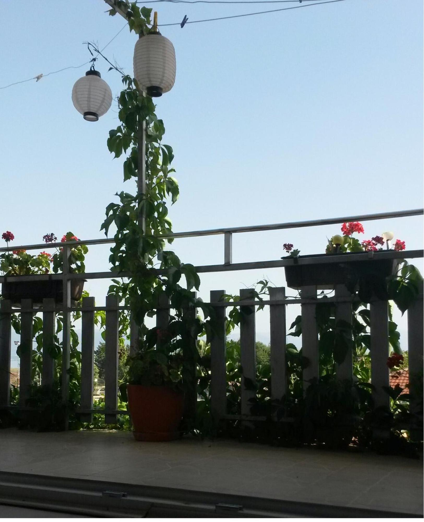 Marko Apartments Struga Zimmer foto
