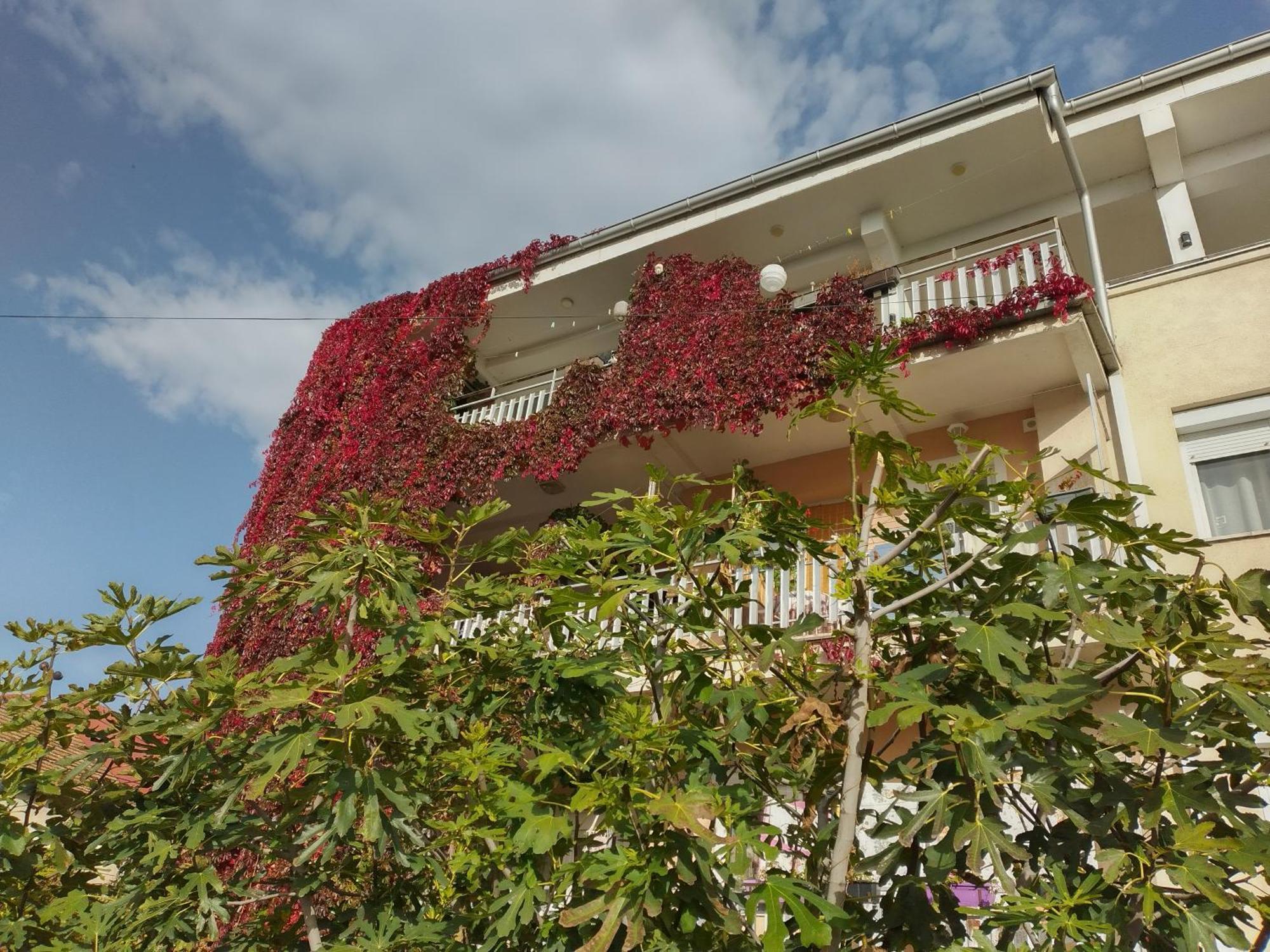 Marko Apartments Struga Exterior foto